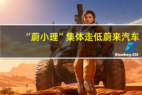 “蔚小理”集体走低蔚来汽车(NIO.N)跌幅扩大至15%小鹏汽车(XPEV.N)跌近7%理想汽车(LI.O)跌近4%