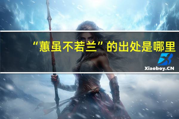 “蕙虽不若兰”的出处是哪里