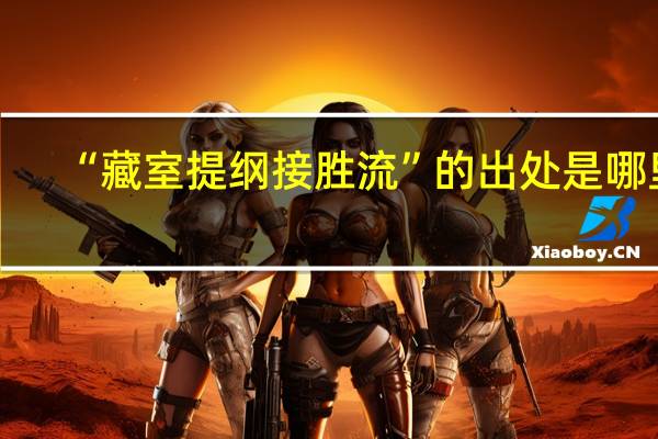 “藏室提纲接胜流”的出处是哪里