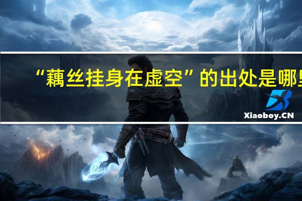 “藕丝挂身在虚空”的出处是哪里