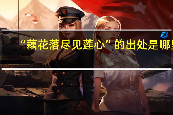 “藕花落尽见莲心”的出处是哪里