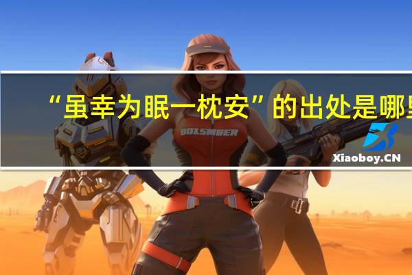 “虽幸为眠一枕安”的出处是哪里