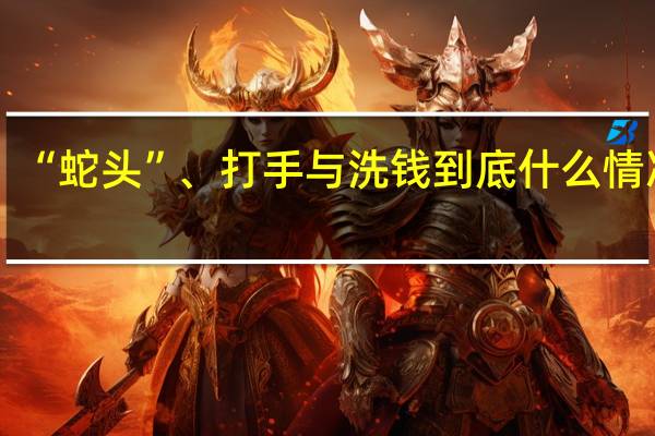 “蛇头”、打手与洗钱 到底什么情况嘞