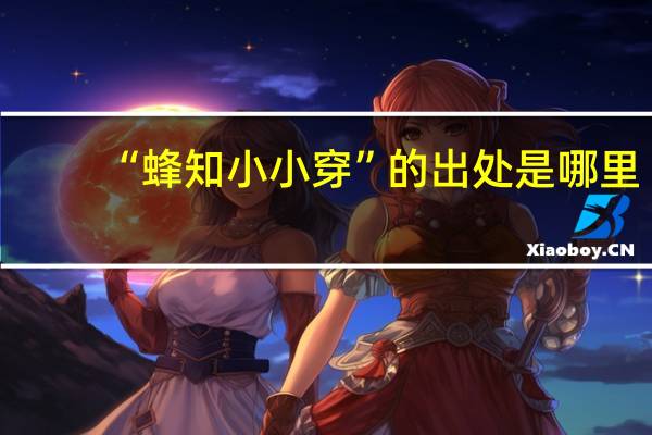 “蜂知小小穿”的出处是哪里