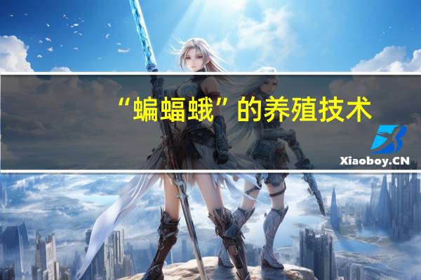“蝙蝠蛾”的养殖技术