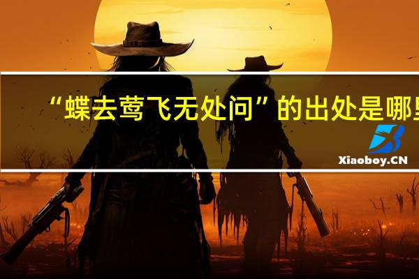 “蝶去莺飞无处问”的出处是哪里