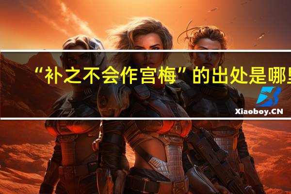 “补之不会作宫梅”的出处是哪里