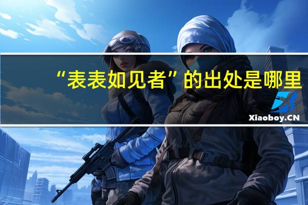 “表表如见者”的出处是哪里