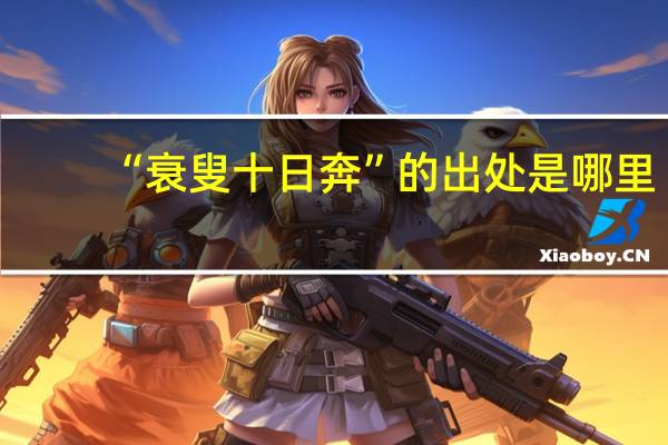 “衰叟十日奔”的出处是哪里