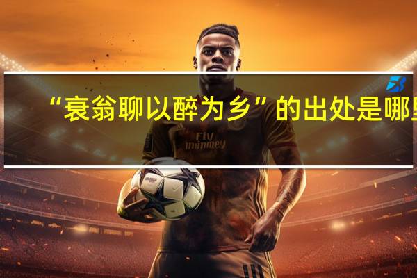 “衰翁聊以醉为乡”的出处是哪里