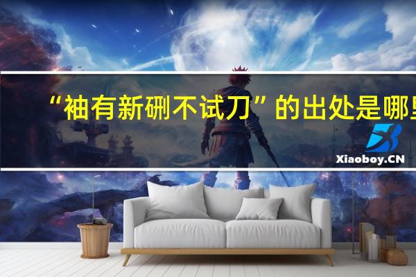 “袖有新硎不试刀”的出处是哪里