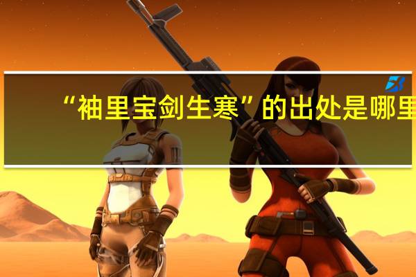 “袖里宝剑生寒”的出处是哪里