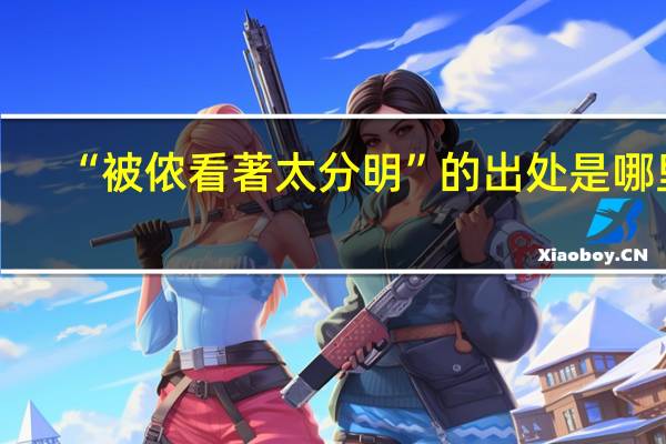 “被侬看著太分明”的出处是哪里