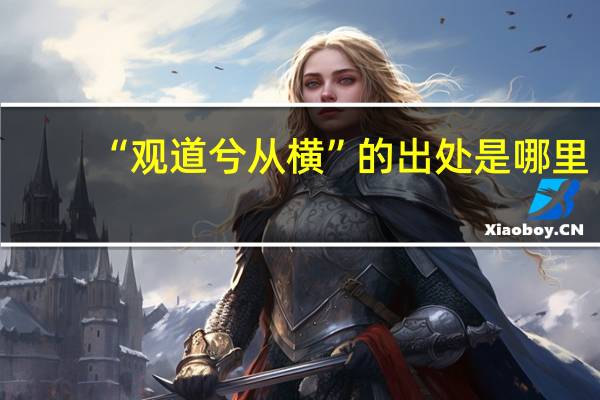 “观道兮从横”的出处是哪里