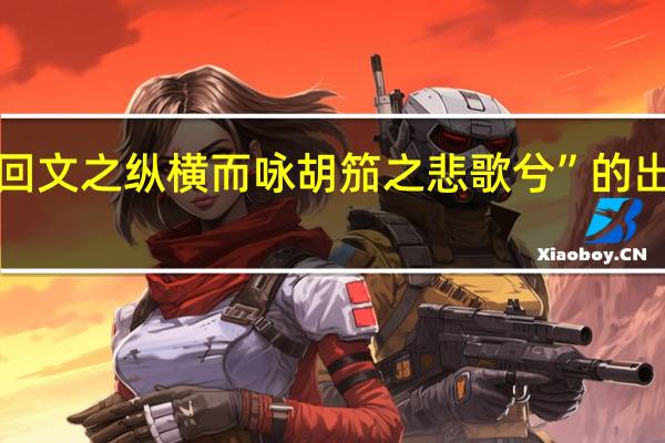 “览回文之纵横而咏胡笳之悲歌兮”的出处是哪里