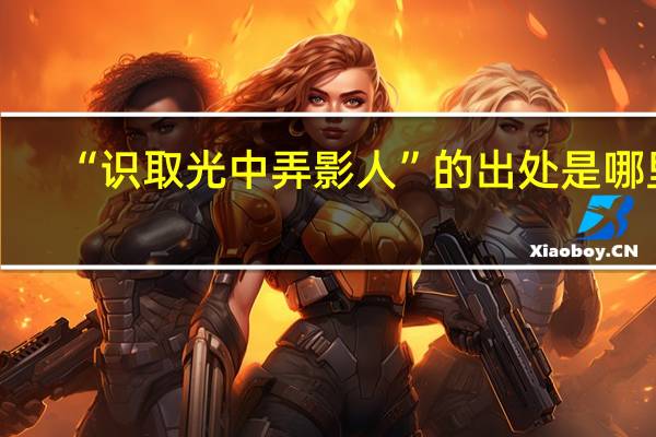 “识取光中弄影人”的出处是哪里