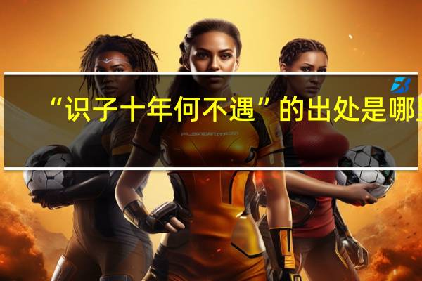 “识子十年何不遇”的出处是哪里