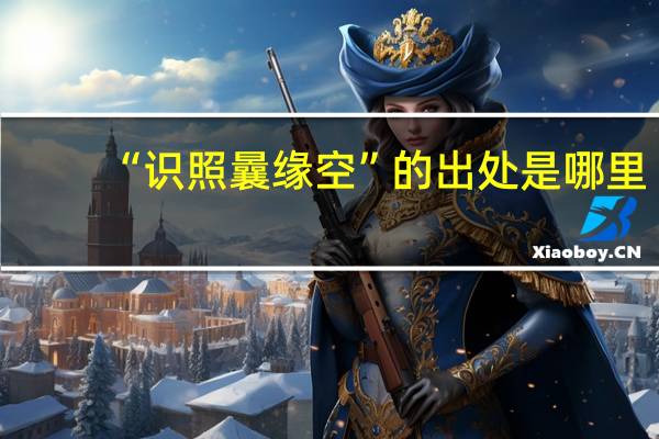 “识照曩缘空”的出处是哪里