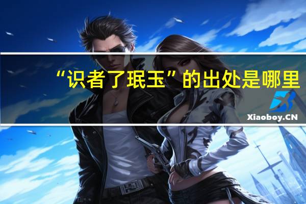 “识者了珉玉”的出处是哪里