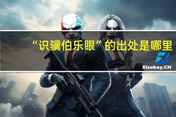 “识骥伯乐眼”的出处是哪里