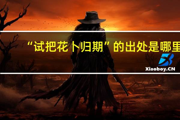 “试把花卜归期”的出处是哪里