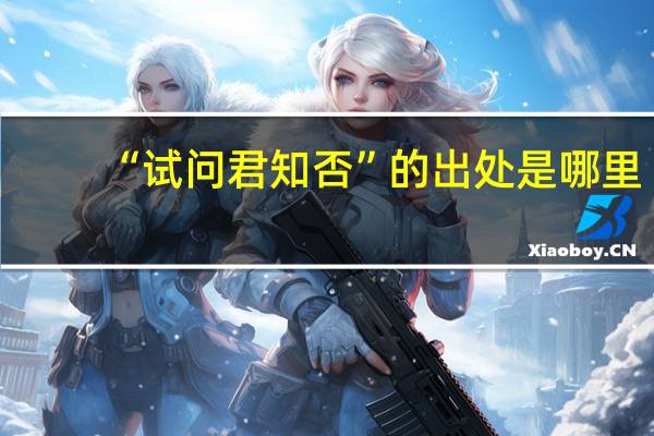 “试问君知否”的出处是哪里