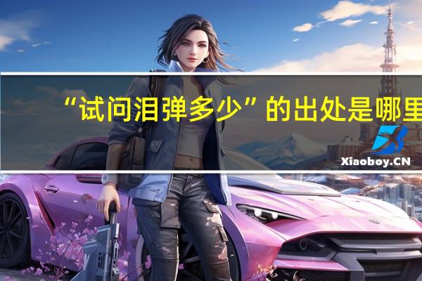 “试问泪弹多少”的出处是哪里
