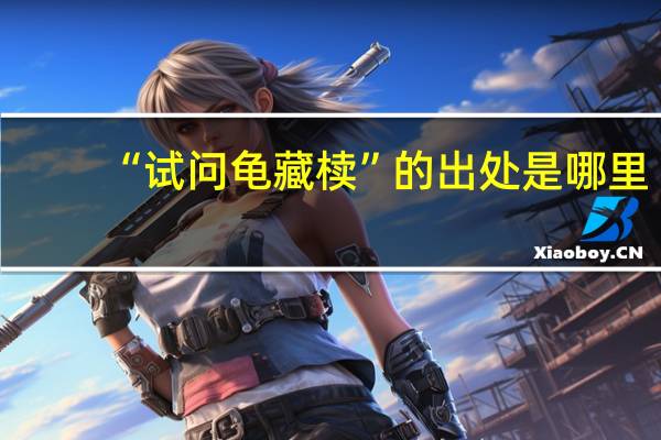 “试问龟藏椟”的出处是哪里