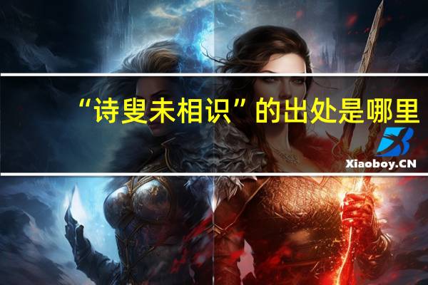 “诗叟未相识”的出处是哪里