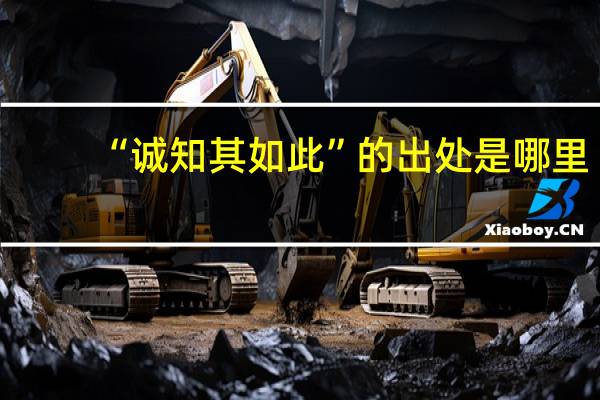 “诚知其如此”的出处是哪里