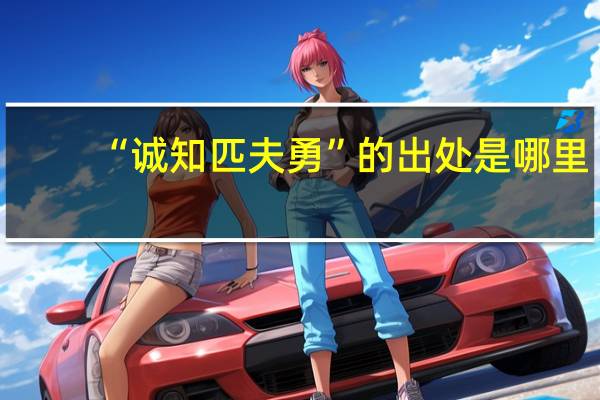 “诚知匹夫勇”的出处是哪里
