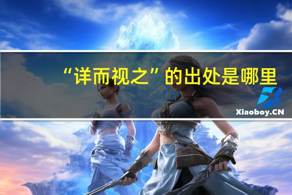 “详而视之”的出处是哪里