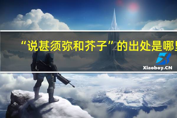 “说甚须弥和芥子”的出处是哪里