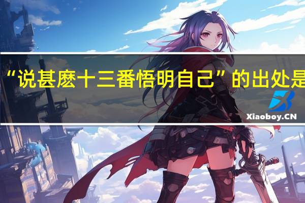 “说甚麽十三番悟明自己”的出处是哪里