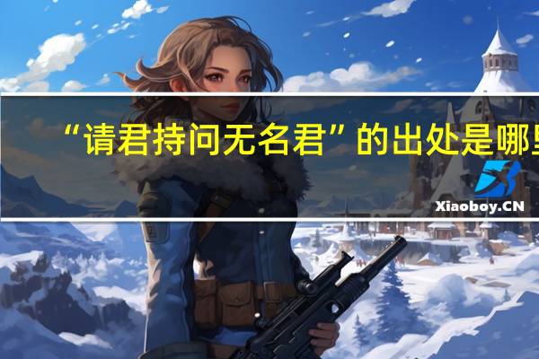 “请君持问无名君”的出处是哪里