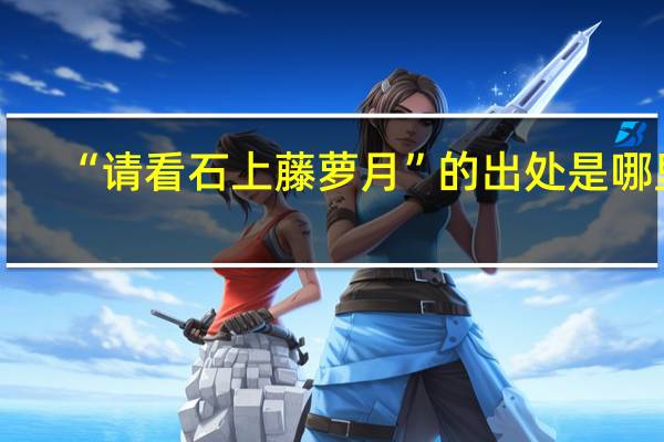 “请看石上藤萝月”的出处是哪里