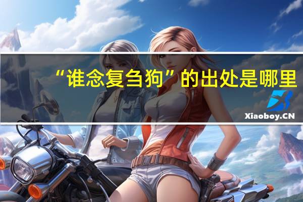 “谁念复刍狗”的出处是哪里