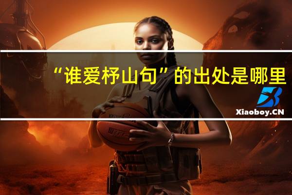 “谁爱杼山句”的出处是哪里
