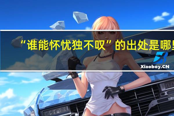 “谁能怀忧独不叹”的出处是哪里