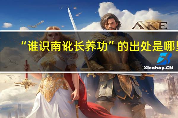 “谁识南讹长养功”的出处是哪里