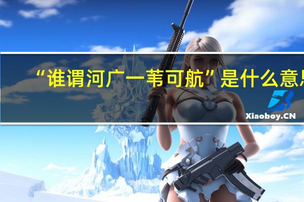 “谁谓河广一苇可航”是什么意思