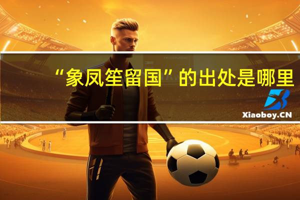“象凤笙留国”的出处是哪里