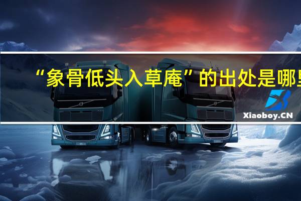 “象骨低头入草庵”的出处是哪里