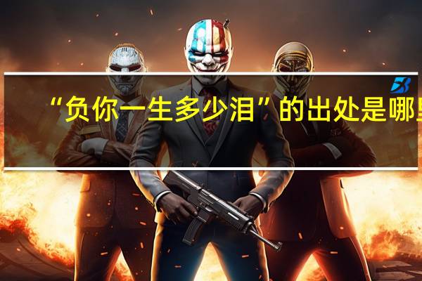 “负你一生多少泪”的出处是哪里
