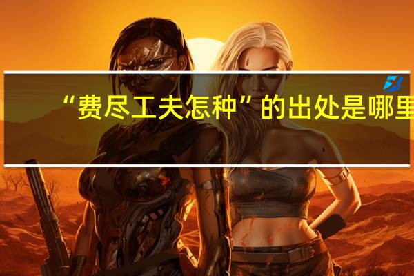 “费尽工夫怎种”的出处是哪里