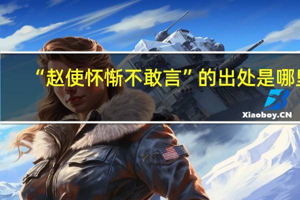 “赵使怀惭不敢言”的出处是哪里