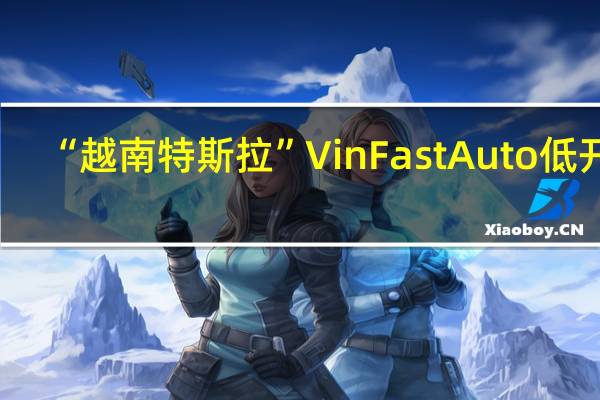 “越南特斯拉”VinFast Auto（VFS）低开9.8%现跌15%恐将结束之前连续六个交易日上涨的趋势