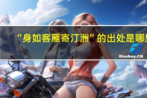 “身如客雁寄汀洲”的出处是哪里