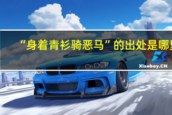 “身着青衫骑恶马”的出处是哪里