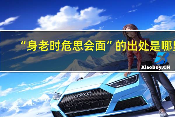 “身老时危思会面”的出处是哪里
